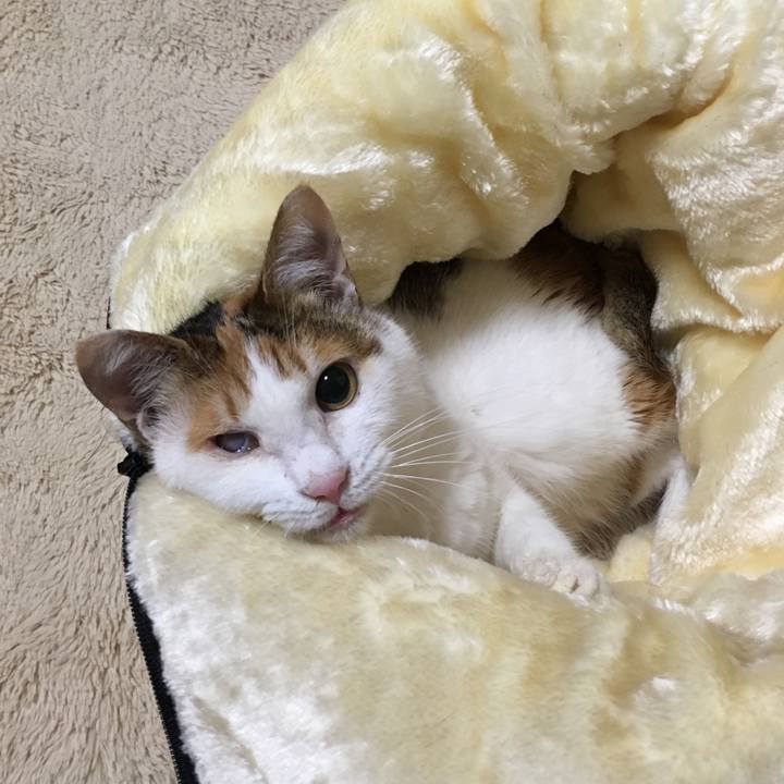 F0000bd7 74ea 46ff 998f cd1b8f7015d3 1519884571637