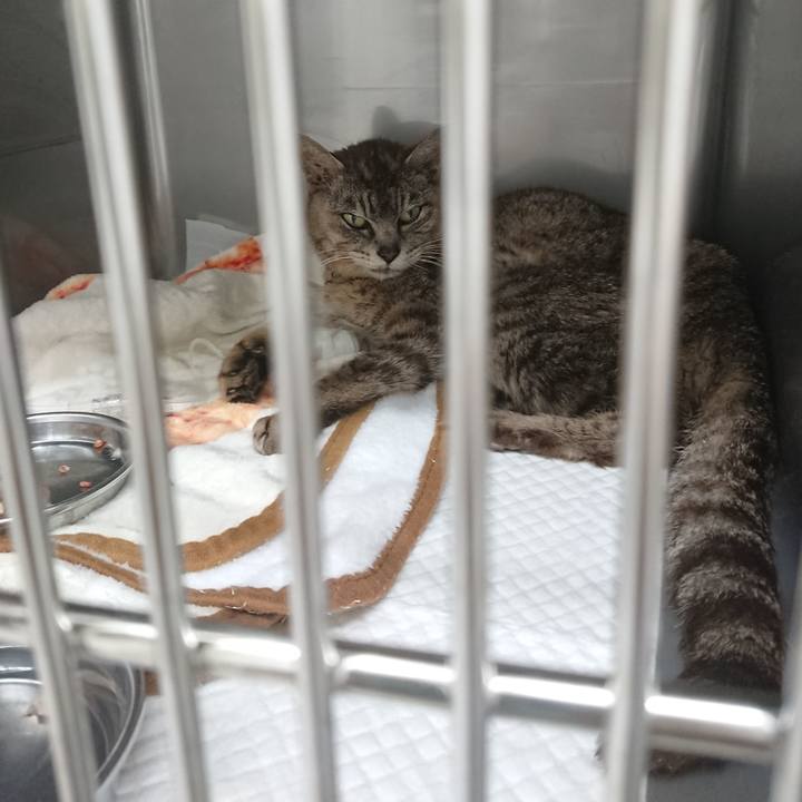 F0006459 7ecf 414f 9880 cbcdc54cf74f 1597743037255