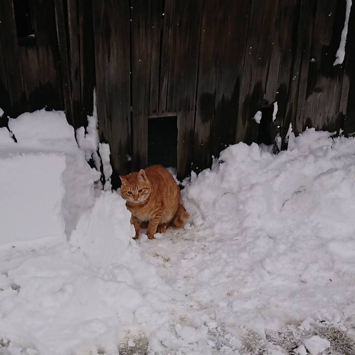 F00076f4 82ae 4b11 8cc9 792825777477 1641088492431