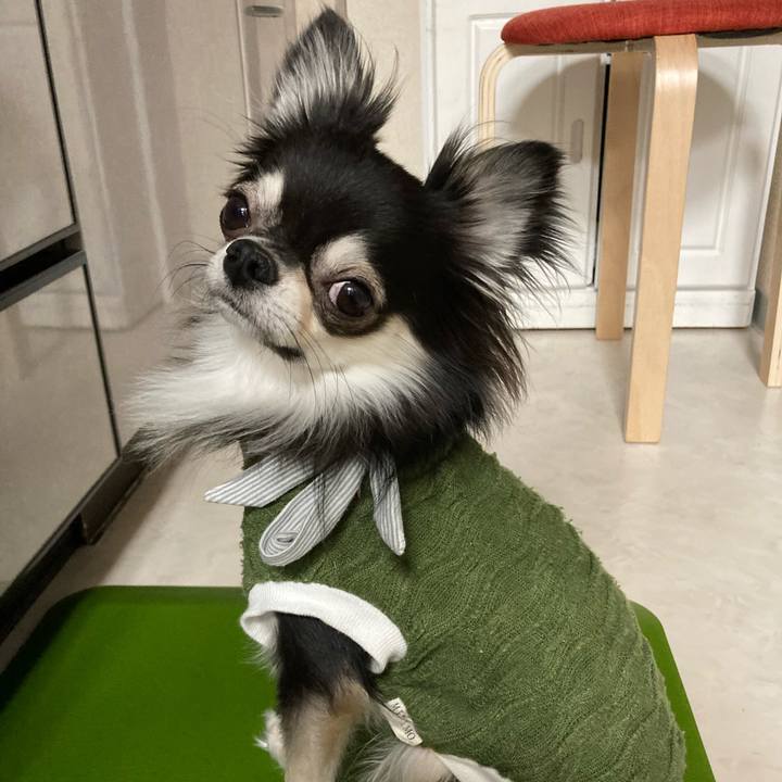 F000a9f7 ba8c 48cf b423 387c49432fb9 1638022108446