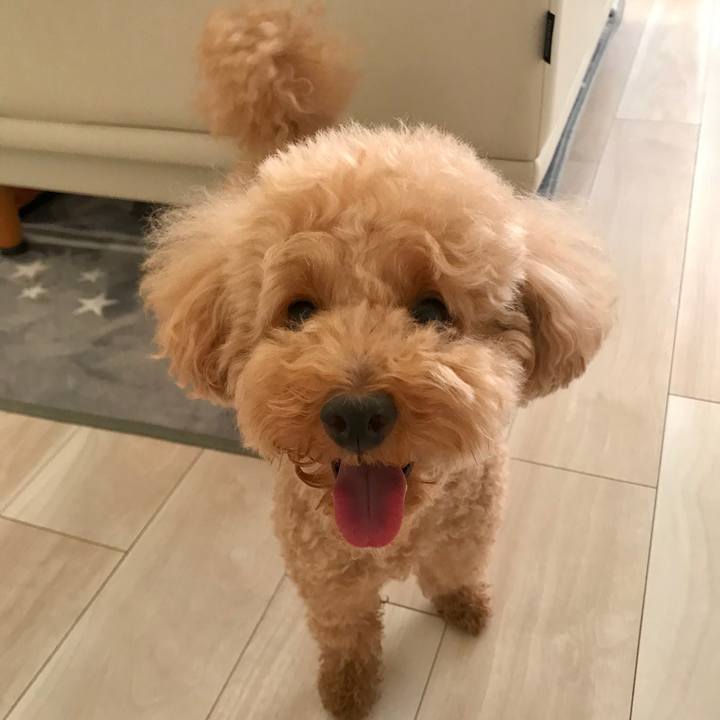 F000fd61 b5f3 489f ae3b d1002f0cc58c 1591091105407