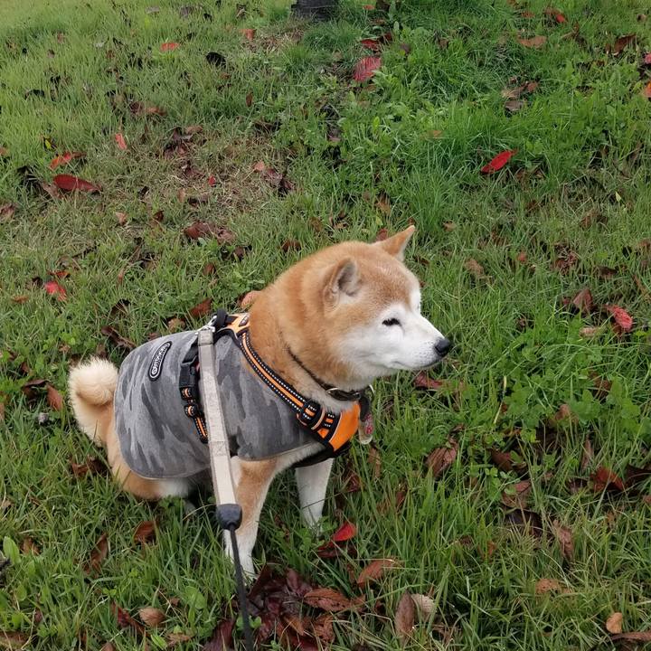 F0011cb5 85bd 4f21 ba49 cb24dda73e1e 1699765376014