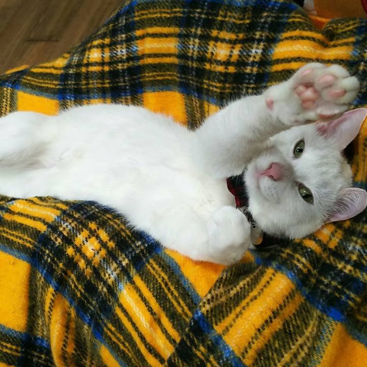 F0014fae 24fc 4b66 93e9 e9e1a87081e0 1521812136185