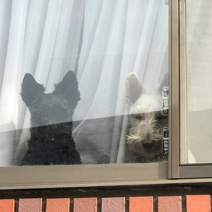 F0015277 e158 4ff3 a002 5c4066677829 1550116753436