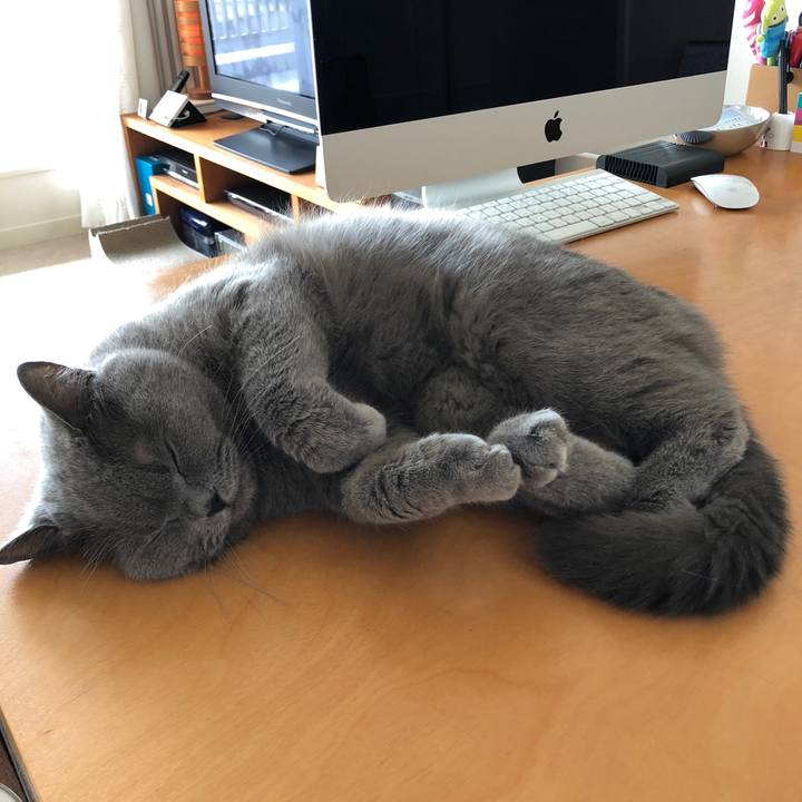 F00156c2 fa2d 42e7 94c2 04b5ce0f23b2 1525660157197