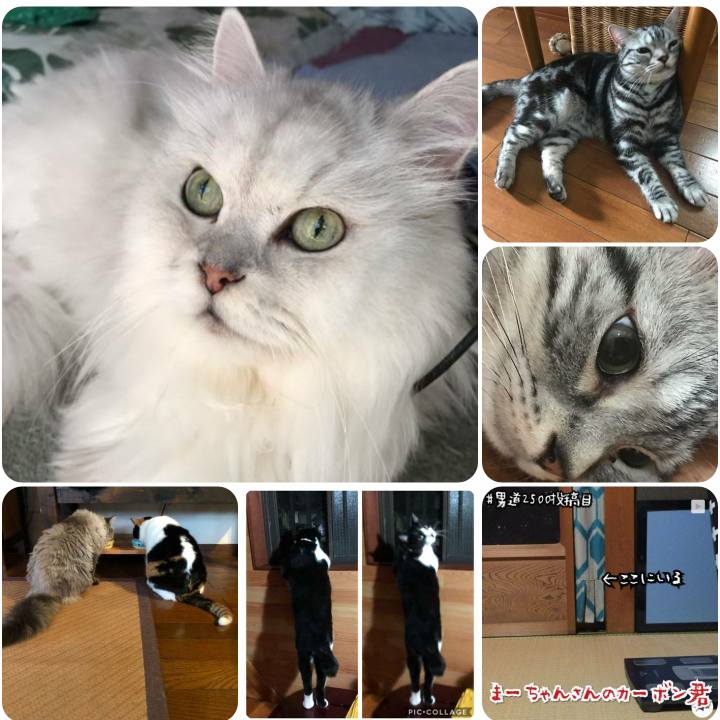 F0016f0a cd13 4948 85f4 3a55204aff7b 1567812745518