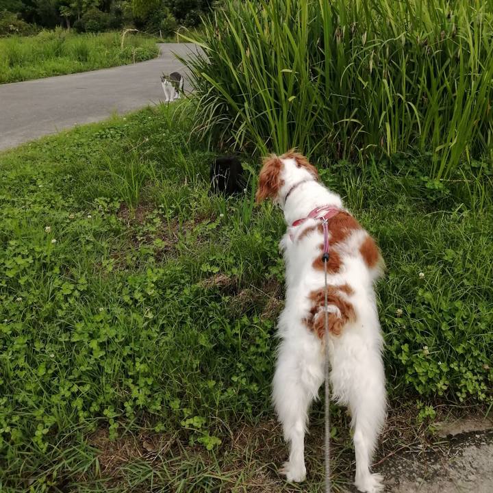 F001a037 73da 44ee 838e 8e0c4bfe78d0 1624622128023