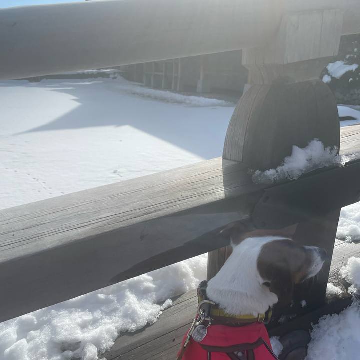 F001e0b2 c0e9 4287 a608 b36d270a3f64 1643008172702