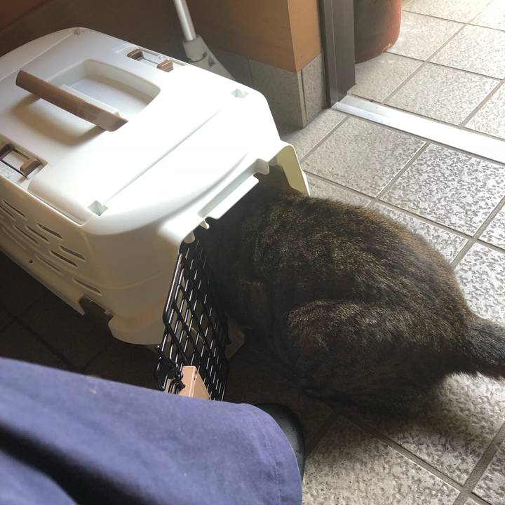 F001fd38 8716 4c56 9be6 fd652f124ddf 1534825160662