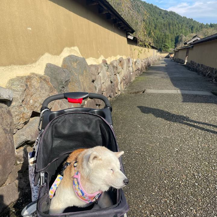 F0028136 2095 4595 85ae 431e47f23160 1762061257501