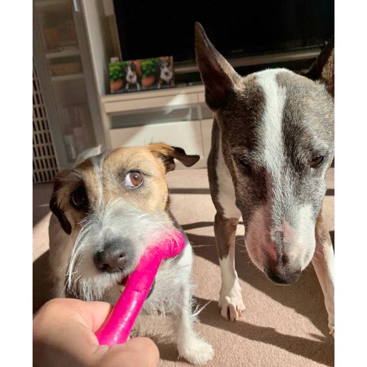 F00299e2 8612 409e 80a8 18221b595738 1612587102589