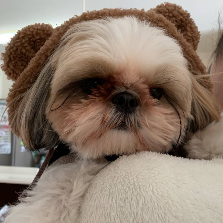 F002f0bf 76c6 4735 9479 4047c20c32ee 1609689578346