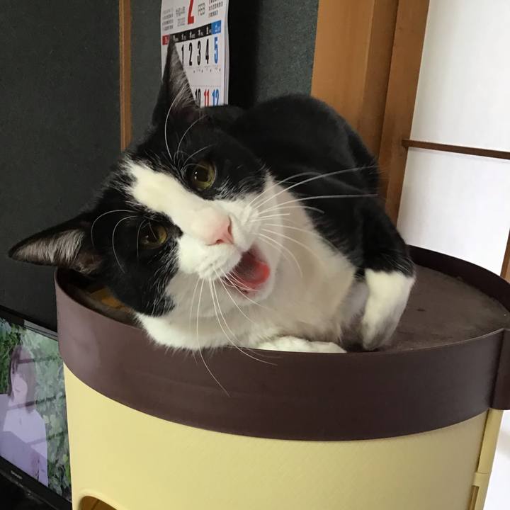 F002f388 040f 4300 8a31 1ede7c07ba4e 1644803109896