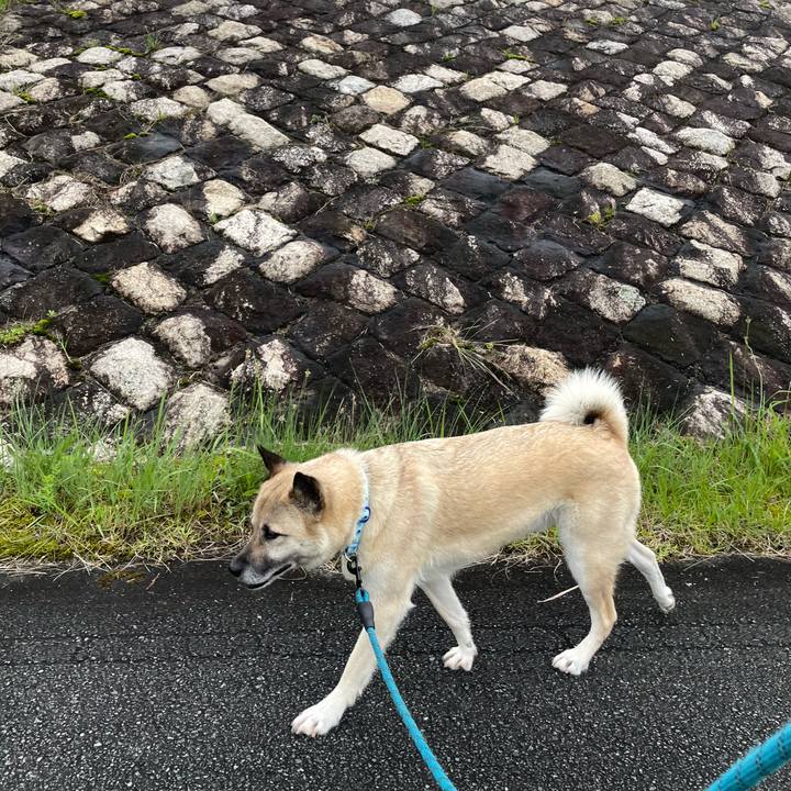 F003446c 76fd 4c37 893f 132b5521aa3a 1686486721922