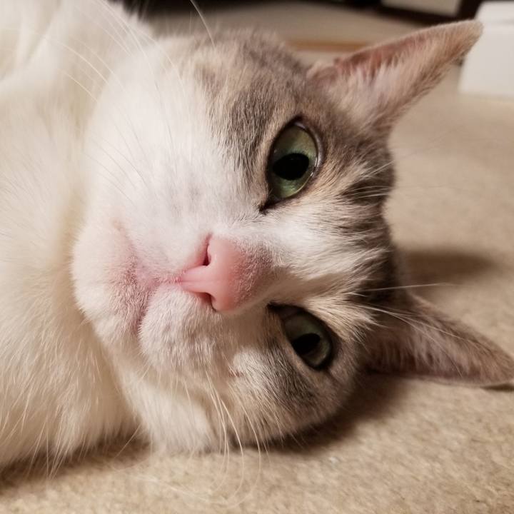 F003c7ad d1b0 4923 89e3 6159748e78ee 1677252591810