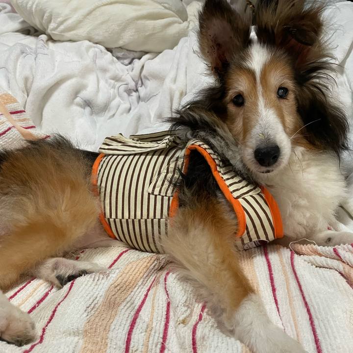 F003d417 8dbf 4a44 b331 b1470aa48dea 1642754448007