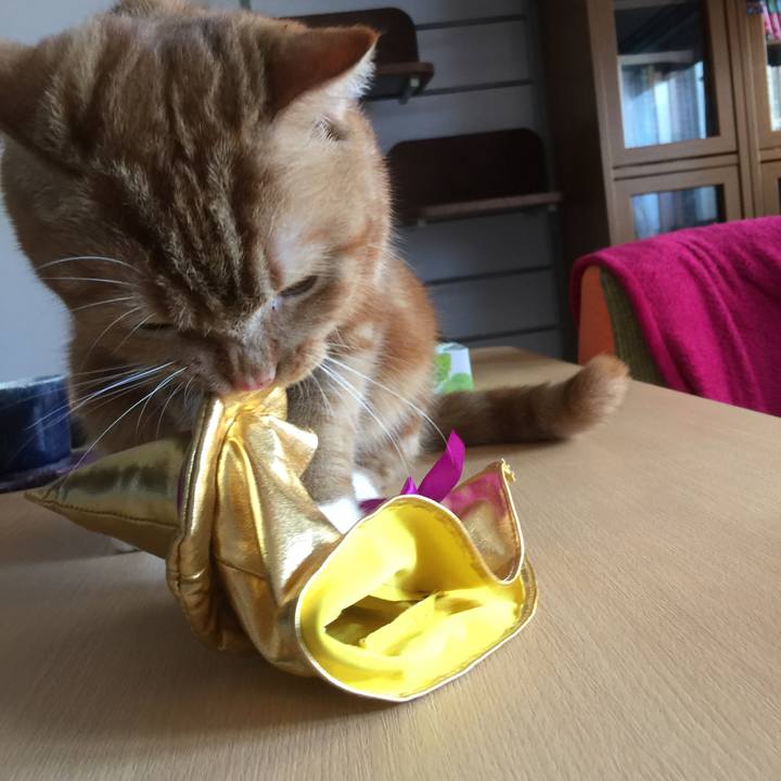 F00400ac 35a0 4330 87d2 c9a8941fae56 1540724572116