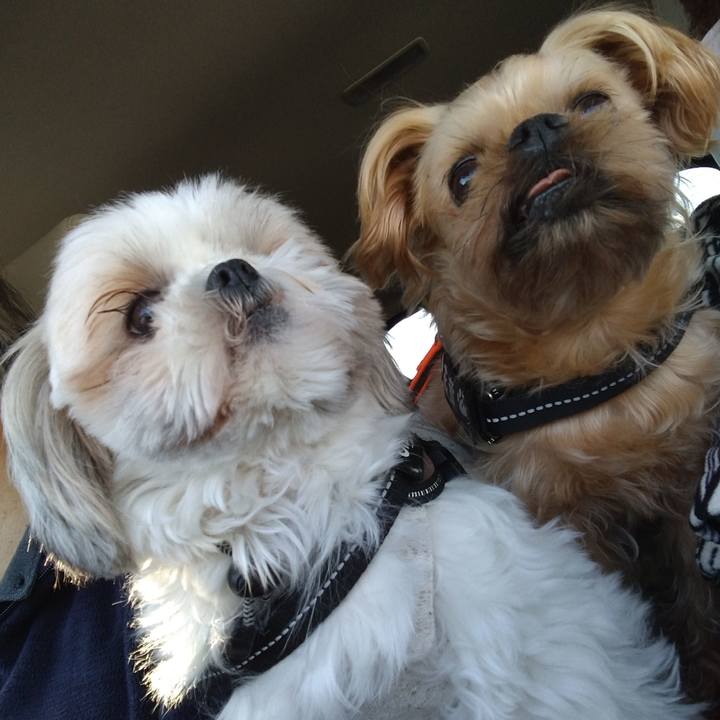 F00400ce ee55 4b0b a148 935e19d3cd7a 1614472532813