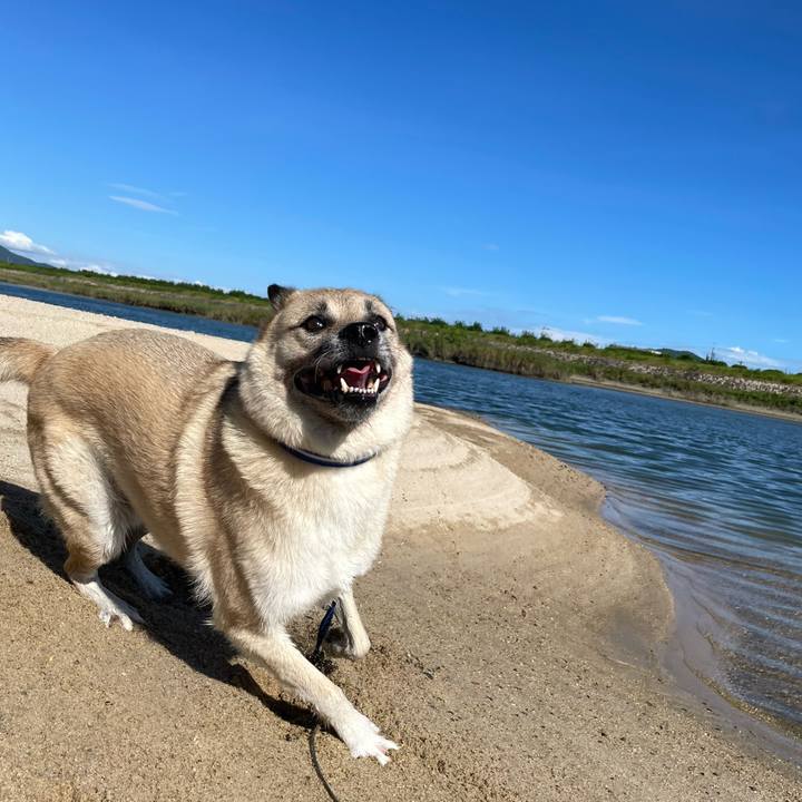 F0045ba2 6425 4fd1 b25c ce187c6aa9dd 1691235388662