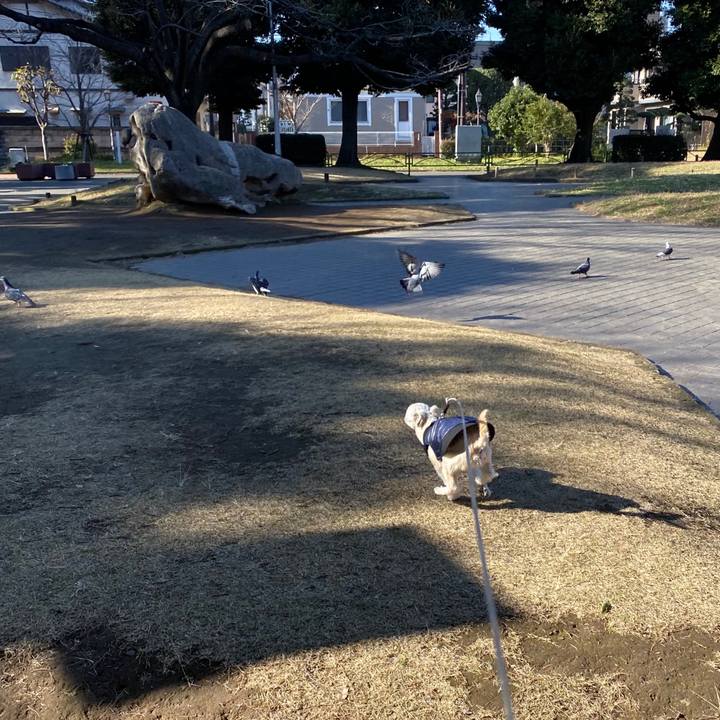 F0047173 5a8a 4a9b aaad d81ba7732fcb 1576818577759