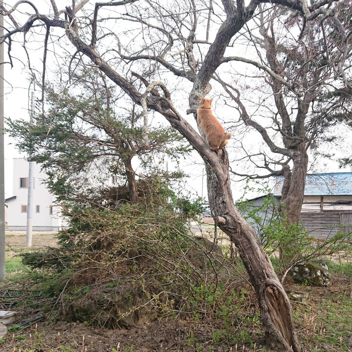 F004955f 1c39 4ab3 99bb 21c91012a911 1650526168872