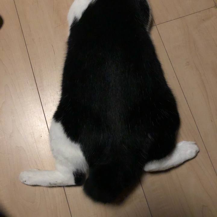 F004bb7a ed35 4a3a 90af 1cdcb8a39d49 1597837370100