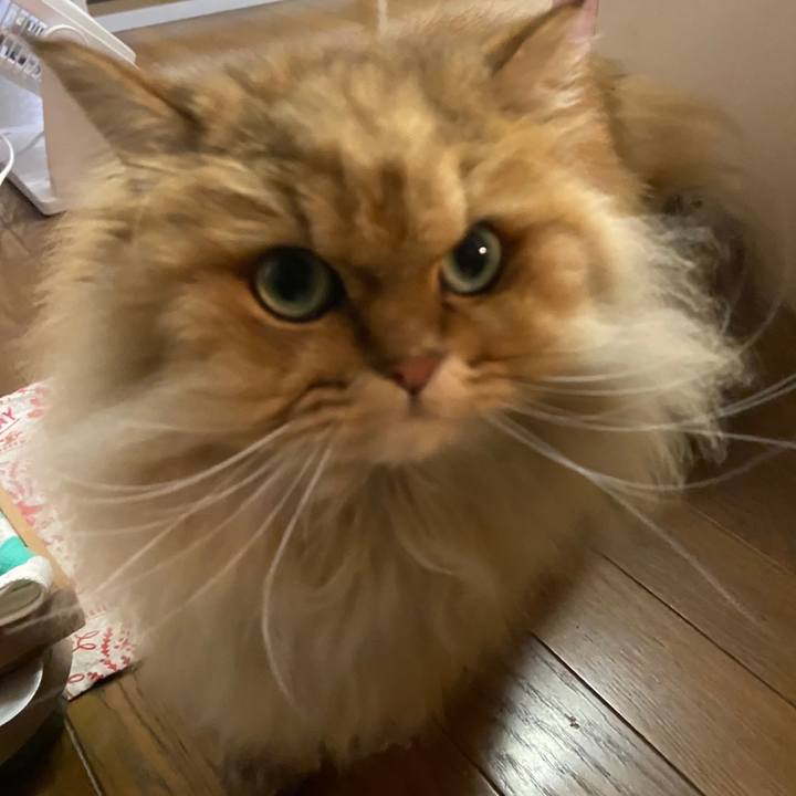 F004c06d 4f5b 4a2d ac0b bb461c4640ee 1608902826052