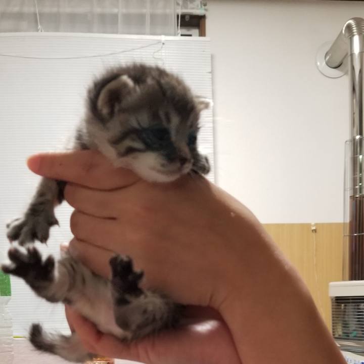 F004ea1a 036e 45ef 87d7 6eff24e5f63c 1659565678786