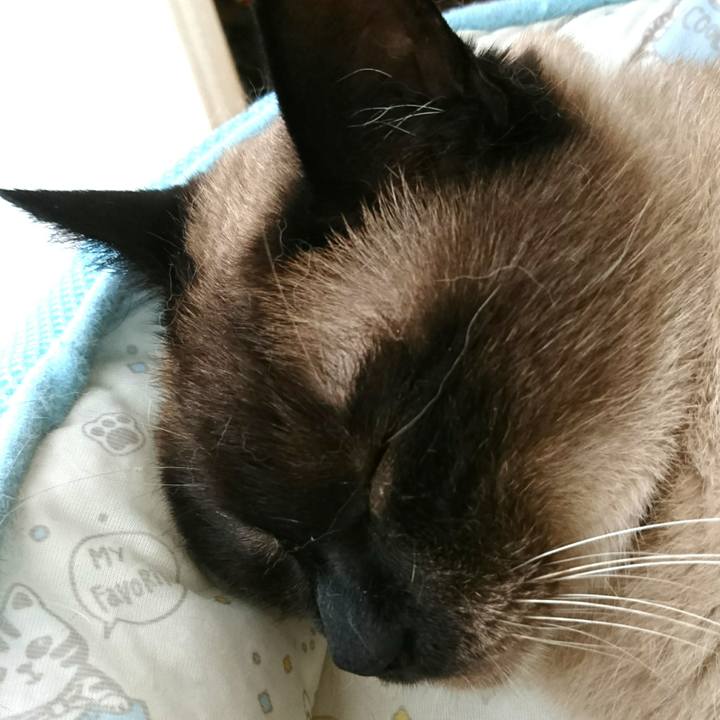 F004f6dd 5dd9 4379 bc00 3cbd6ff2fb88 1528538446261