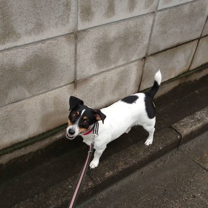 F004fd94 d4ca 4a32 a2b8 cacadd6b0bac 1630653562281