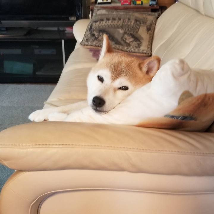 F0050771 6342 431d af9b 3940e6cb5d61 1659517157707