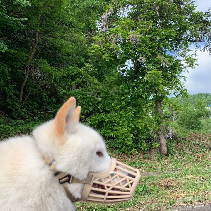 F0051336 e8b5 4f90 8d75 a27a34fa888c 1562112419059