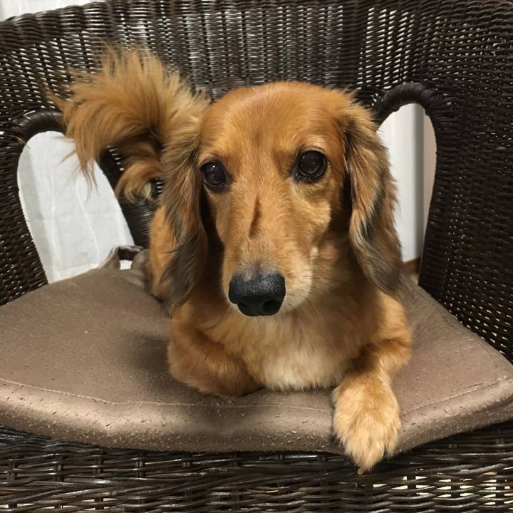 F00566e2 6778 483f 9f5f 43b7bd148c9c 1533651636602