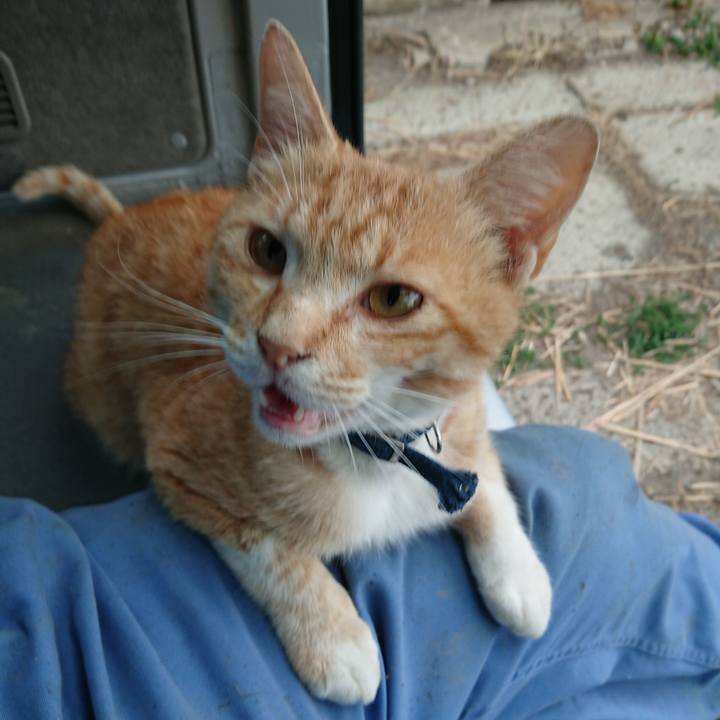 F00589fa a0bd 4f77 858d 4c369ee7ee3a 1560550119682