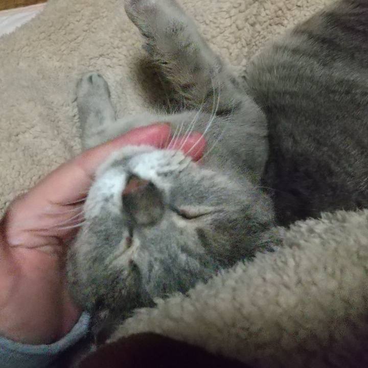 F0058a4c 7812 412a 9b5f 93156aba572d 1678191669257