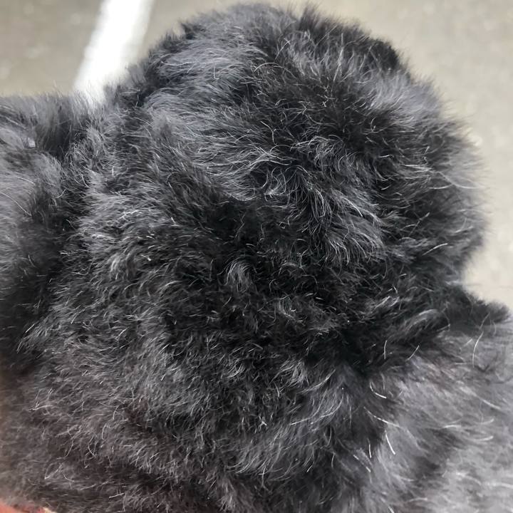 F005c70f 4dbc 4af1 95a2 1e7a1d1b0862 1600229816699