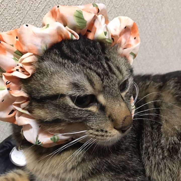 F005e250 e7e7 46dd 9ad5 b4038f27faf8 1569852307309