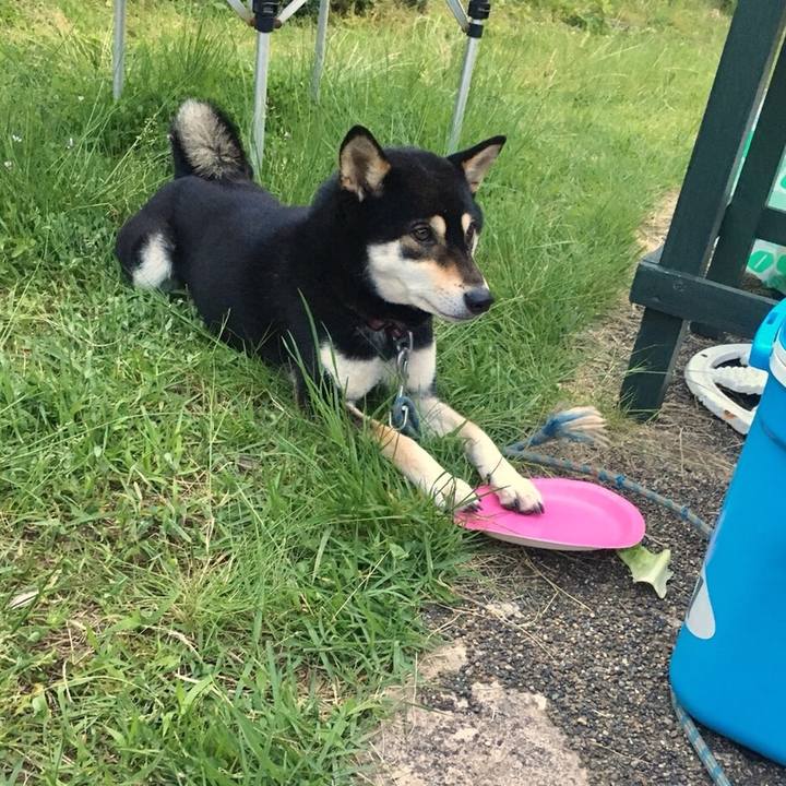 F005e568 39d8 4ed4 9cf1 1cd4f3da10df 1528153173873