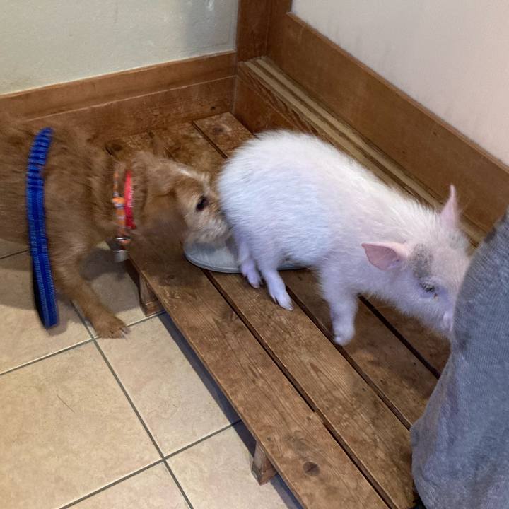 F005ecb9 91ec 4263 9c23 28849cf580dd 1611223695002