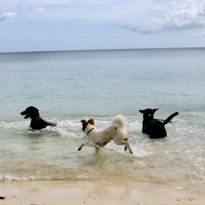 F005f46a a7c1 4bbf 958d d225e2cc90dd 1693407291152