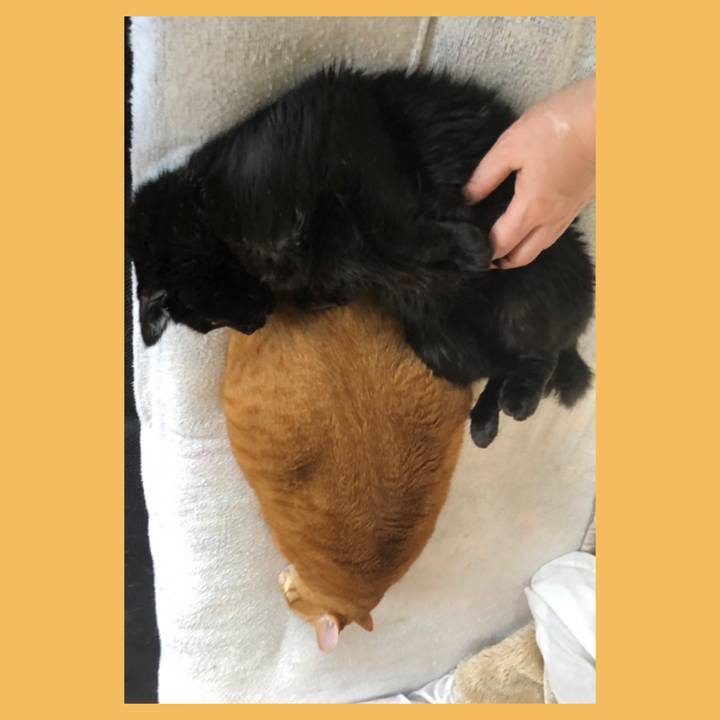 F005f8a6 e121 4b57 95f4 0edb5a78b3c5 1619308832734