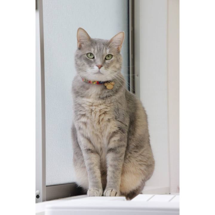 F0065b5a 6aa2 4db7 89a2 a65ebbc12f66 1652410218280