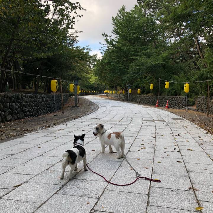 F0066cd8 f323 454b 8849 fc09bd8fd5b9 1533255070766