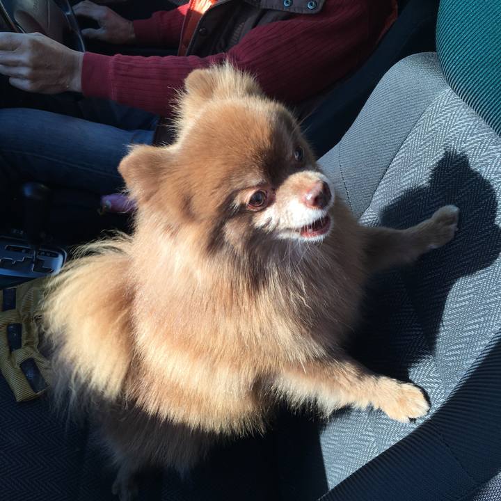 F0067243 3367 4aae 9e42 2c9939e2dcab 1514938271835