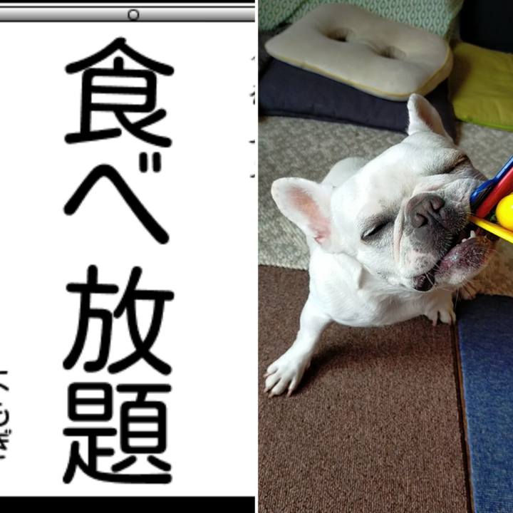 F006d0f8 0c3f 4307 9cd9 dfe495849a4d 1672729999377