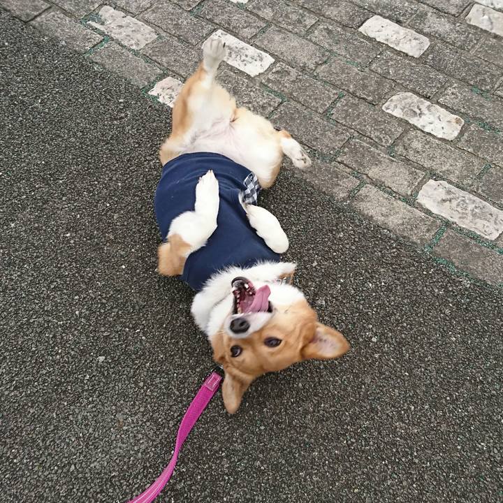 F007222c f3de 4d9f 815c d2df141cc5c3 1552710383695