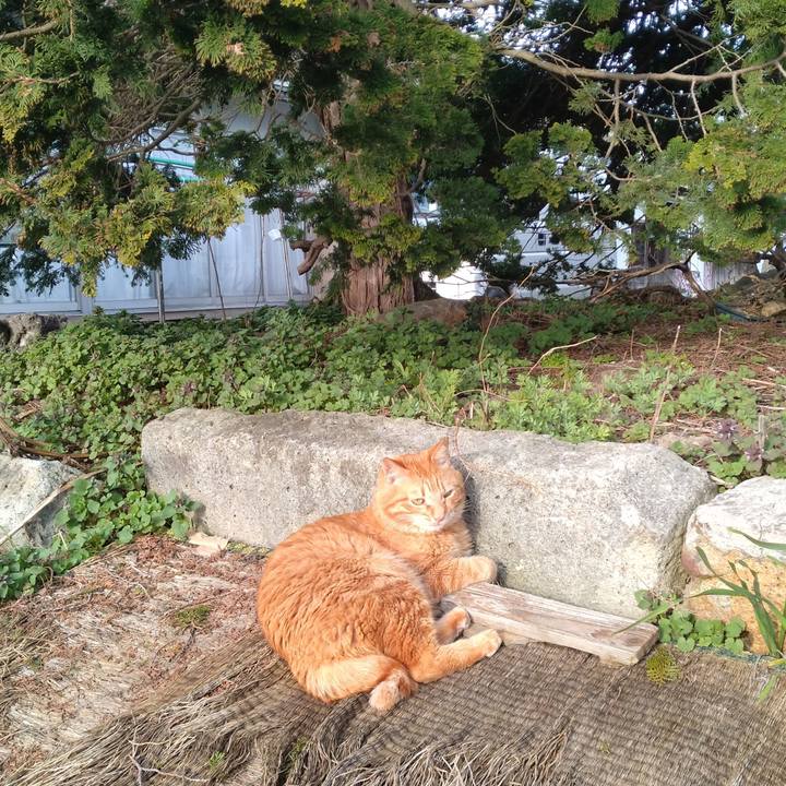 F00756ec 4079 4c2e 85e5 06e1293f8557 1712307584031