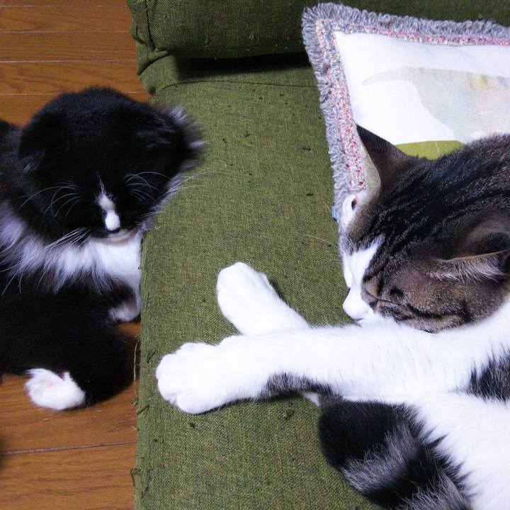 F00771ad 7f8b 465e 807a b79f68d91db1 1652742206253