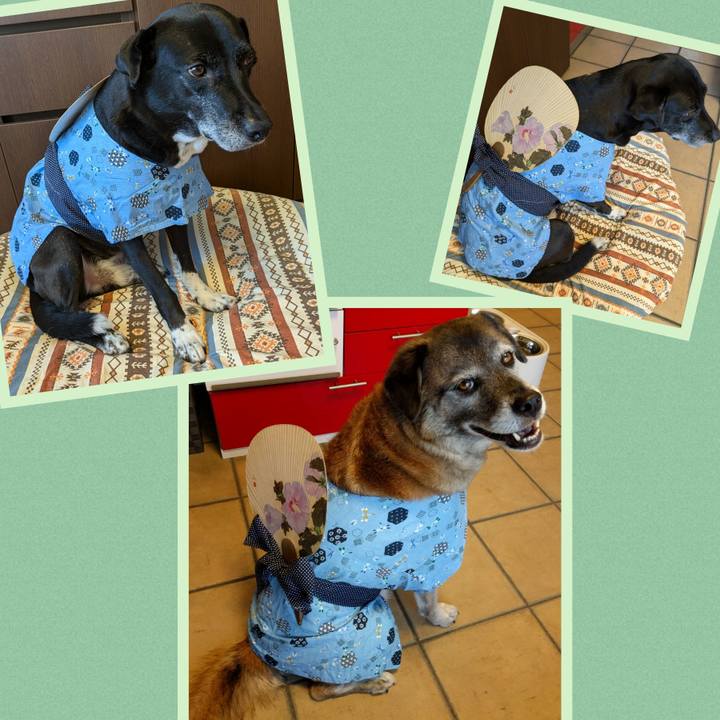 F0078a18 c15e 45ca 8325 74175131a8da 1722749203692