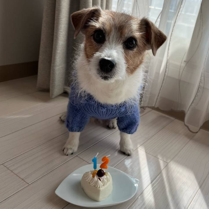 F007ba52 578f 42c0 9c64 46b4f4750a4f 1742449786016